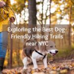 Best Dog Friendly Hikes Near NYC