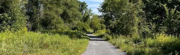 Richmond Trail Loop - Best Dog Friendly Hikes Near Ottawa