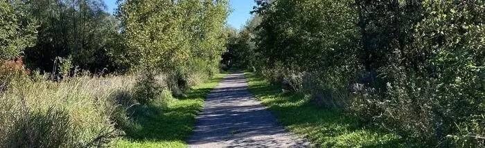 Trail 50